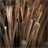 Room divider "NATURE" partition willow folding screen paravent brown Pic:3