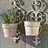 Set of 2 wall flower pot holder "HERBAL" garden decoration Pic:1