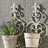 Set of 2 wall flower pot holder "HERBAL" garden decoration Pic:2