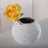 Artful set of vases "ROMA" 3 pcs flower vase porcelain white Pic:3